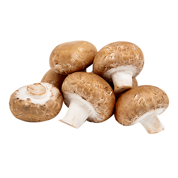 Champignons braun