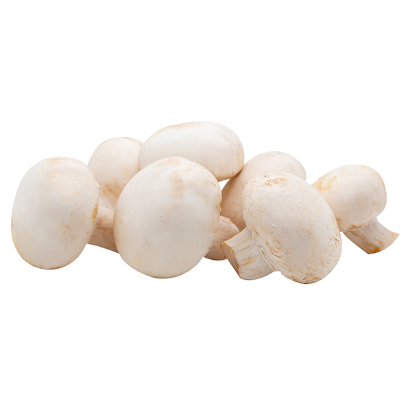 Champignons weiss fein