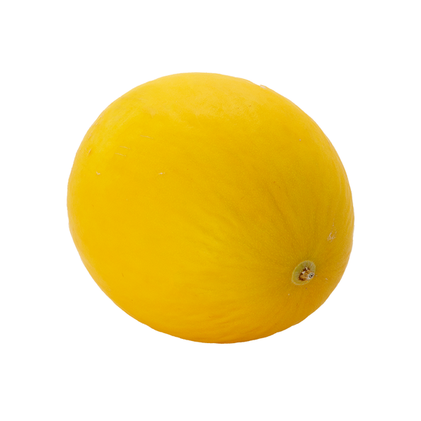 Honigmelone