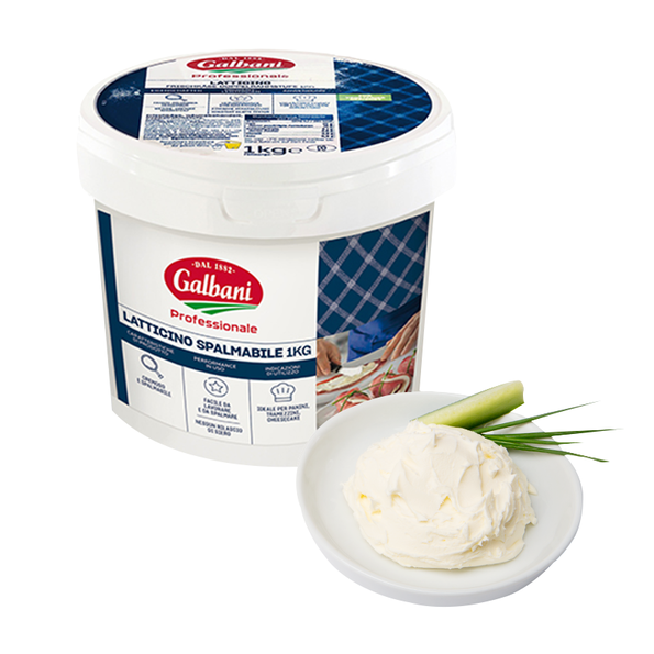 Galbani Professionale Latticino Spalmabile, Frischkäse Doppelrahmstufe