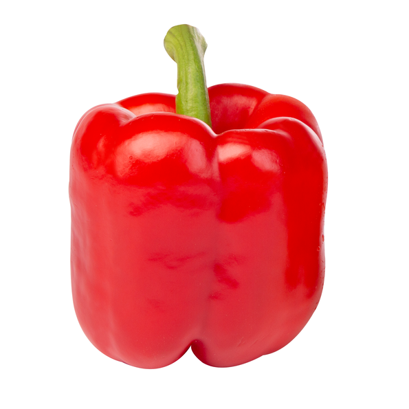 Paprika rot