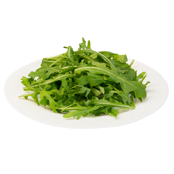 Rucola