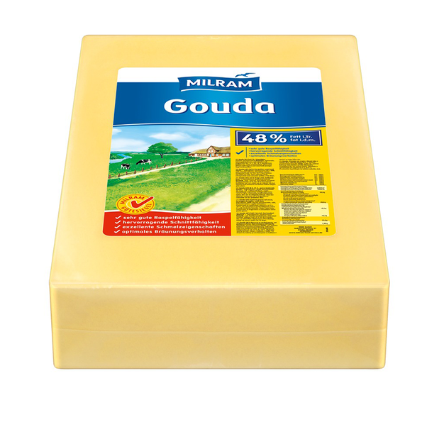 Gouda Block 48 % Fett i.Tr.